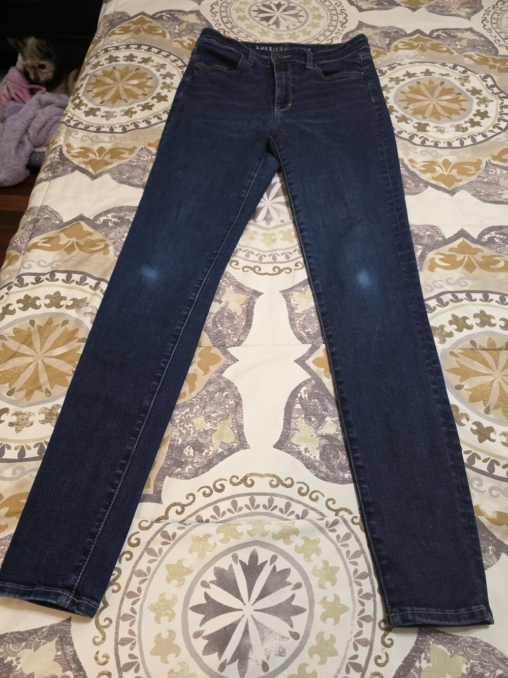 American Eagle Outfitters Dark Wash Skinny Jeans - Dark Blue
